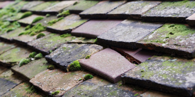 Whaddon roof repair costs